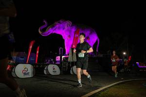 BIB: 
                            <button type="button" onclick="openModal(26534002)" class="btn btn-primary btn-sm float-right btn-popup" data-toggle="modal" data-target=".modal-high-quality">
                        <i class="fas fa-shopping-cart"></i> Add to Cart
                    </button>
                                            <button type="button" onclick="isThisMe(26534002, true)" class="btn btn-success btn-sm float-right btn-popup btn-isme hidden" data-toggle="tooltip" data-placement="bottom" title="นี่คือรูปของคุณใช่ไหม คลิกที่นี่เพื่อเอาเข้าอัลบั้ม">
                        <i class="fas fa-plus"></i> Add to album
                    </button>
                    <button type="button" onclick="isThisMe(26534002, false)" class="btn btn-warning btn-sm float-right btn-popup btn-isnotme hidden">
                        <i class="fas fa-ban"></i> Remove from album
                    </button>